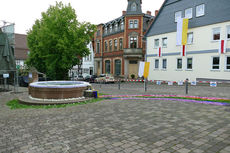 Bluemteppich auf dem Naumburegr Marktplatz (Foto: Karl-Franz Thiede)